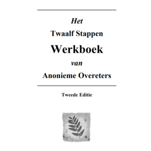 Werkboek 12 stappen
