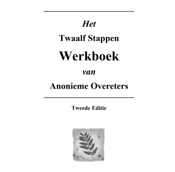 Werkboek 12 stappen